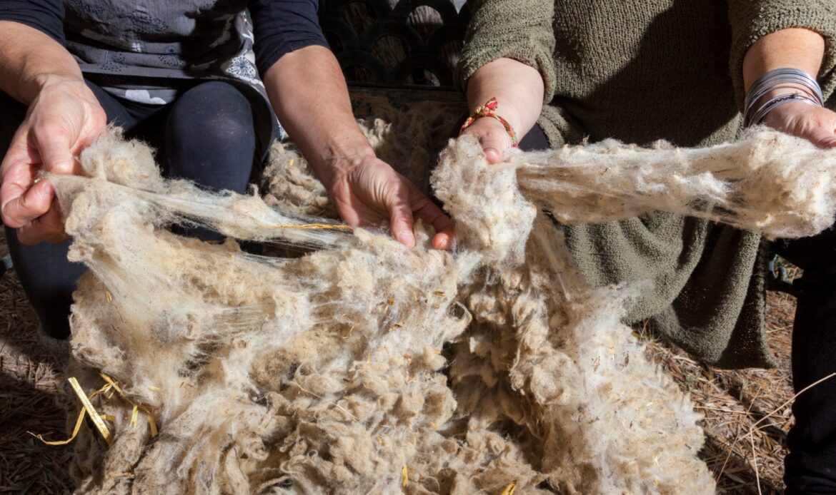 Aislamientos naturales: la lana de oveja en la construcción sostenible