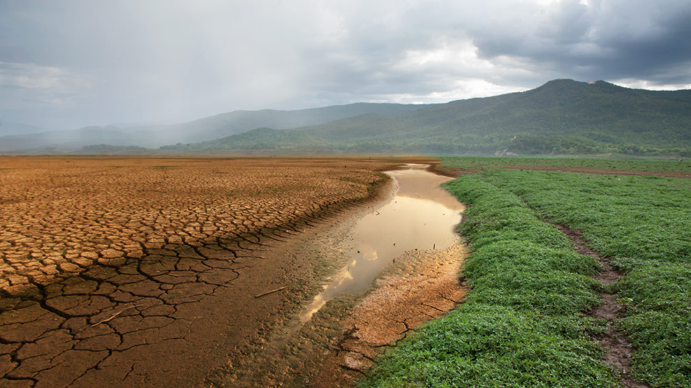 El impacto económico del cambio climático