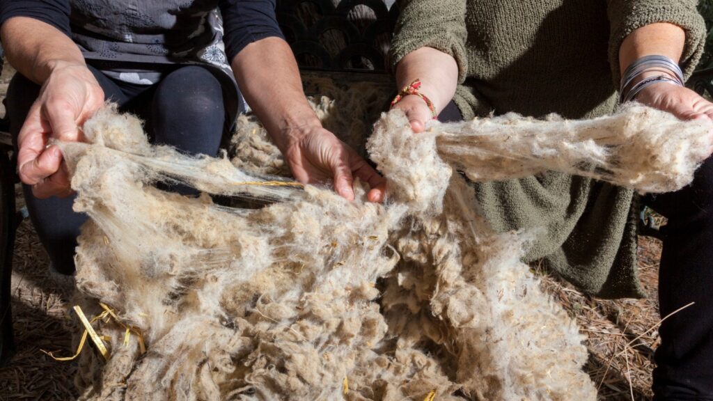 Aislamientos naturales: la lana de oveja en la construcción sostenible