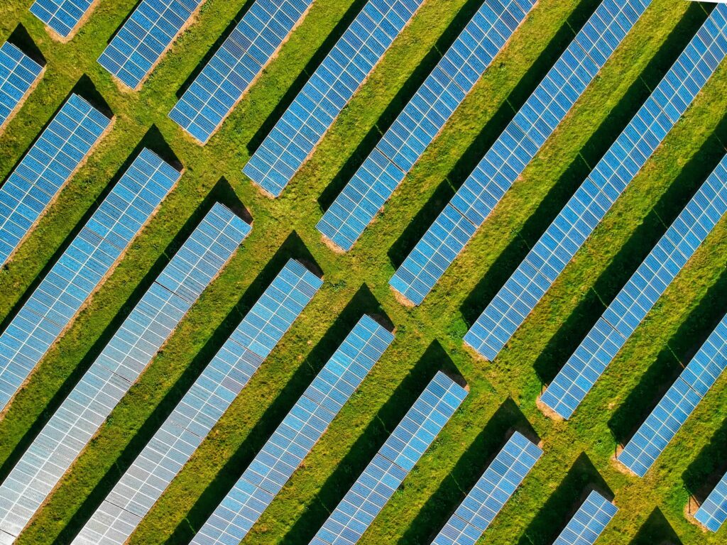 7 estrategias de desarrollo sostenible que apoyan la transición hacia una economía positiva para la naturaleza