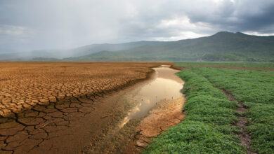 El impacto económico del cambio climático