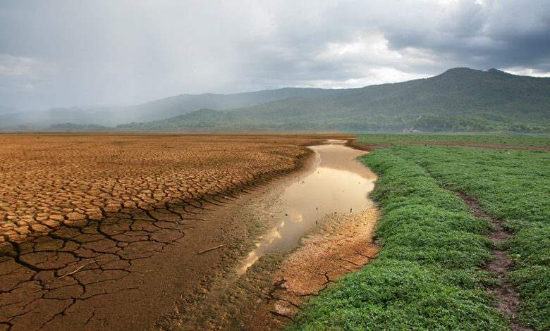 El impacto económico del cambio climático