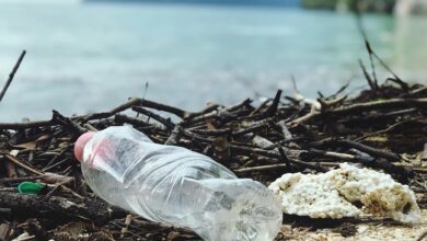 La contaminación por plásticos es problema cada vez mas grave