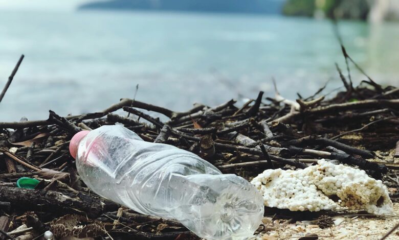 La contaminación por plásticos es problema cada vez mas grave