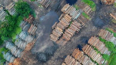 El sobregiro ecológico de la tierra de 2025. el más anticipado que se ha registrado