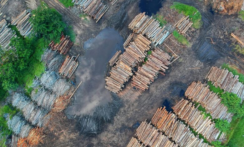 El sobregiro ecológico de la tierra de 2025. el más anticipado que se ha registrado