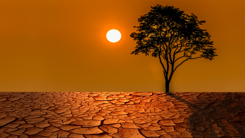 El Niño de 2026. ¿Temperaturas récord?