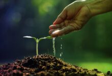 Johnson Controls presenta su Informe de Sostenibilidad 2026 y destaca los beneficios de la eficiencia energética